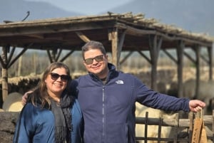 Santiago: World-class Wines, Visit to 4 Vineyards and Tanino