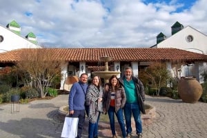 Santiago: World-class Wines, Visit to 4 Vineyards and Tanino