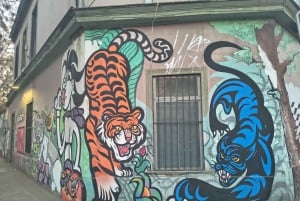 Santiago: Yungay, minner, kunst og vandring i nabolaget