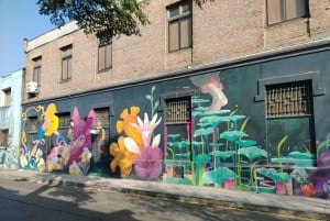 Santiago: Yungay, minner, kunst og vandring i nabolaget