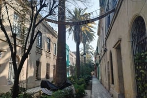 Santiago: Yungay, minner, kunst og vandring i nabolaget