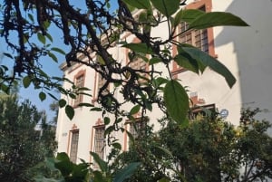 Santiago: Yungay, minner, kunst og vandring i nabolaget