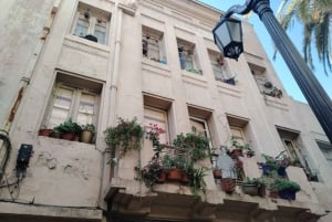 Santiago: Yungay, minner, kunst og vandring i nabolaget