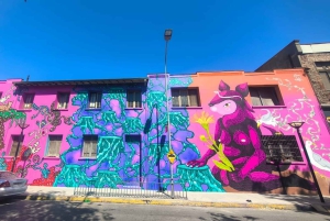 Santiago: Yungay, pamięć, sztuka i wycieczka piesza po okolicy