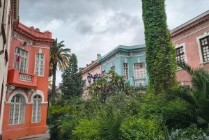 Santiago: Yungay, pamięć, sztuka i wycieczka piesza po okolicy