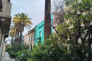 Santiago: Yungay, pamięć, sztuka i wycieczka piesza po okolicy