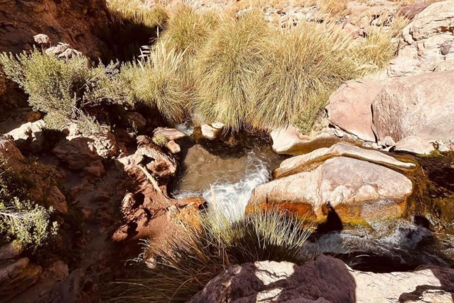 São Pedro do Atacama, vaellus Cascadas Escondidas
