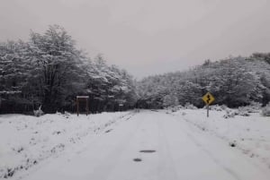 Semi-yksityinen retki Tierra del Fuego -kansallispuistoon