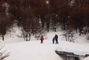 Semi-yksityinen retki Tierra del Fuego -kansallispuistoon