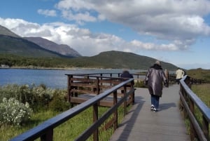 Semi-yksityinen retki Tierra del Fuego -kansallispuistoon