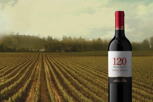 Sensory Journey: Visit to the Santa Rita vineyards