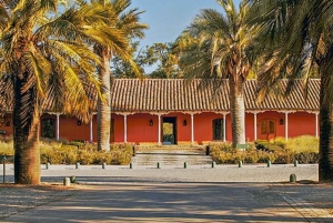 Sensory Journey: Visit to the Santa Rita vineyards