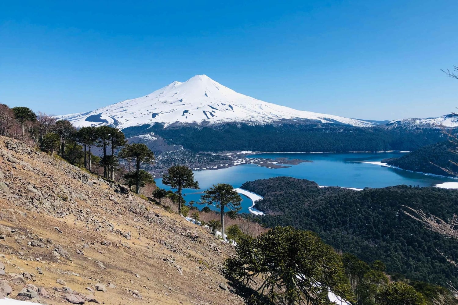 trilha-na-sierra-nevada-do-parque-nacional-conguillio-in-chile