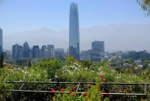 Sky Costanera Santiago Private Tour Skip-the-Line Tickets