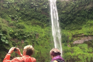 Sneeuwschoenwandelen bij de Villarrica Vulkaanbasis & Waterval