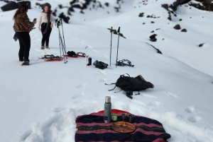 Sneeuwschoenwandelen bij de Villarrica Vulkaanbasis & Waterval