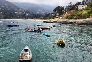 Pêche sportive en bateau et empanadas chiliennes depuis Santiago