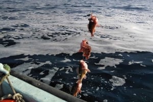 Urheilukalastusta veneellä & chileläisiä empanadoja Valparasta käsin
