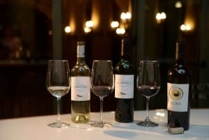 Vin i solnedgangen: vinsmaking og middag i Andesfjellene