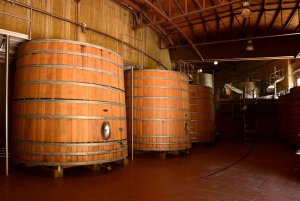 Vin i solnedgangen: vinsmaking og middag i Andesfjellene