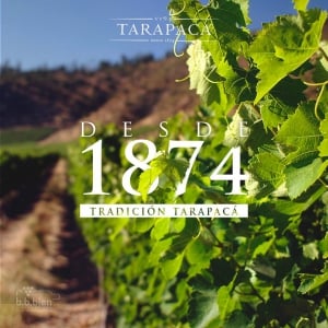Tarapaca Winery
