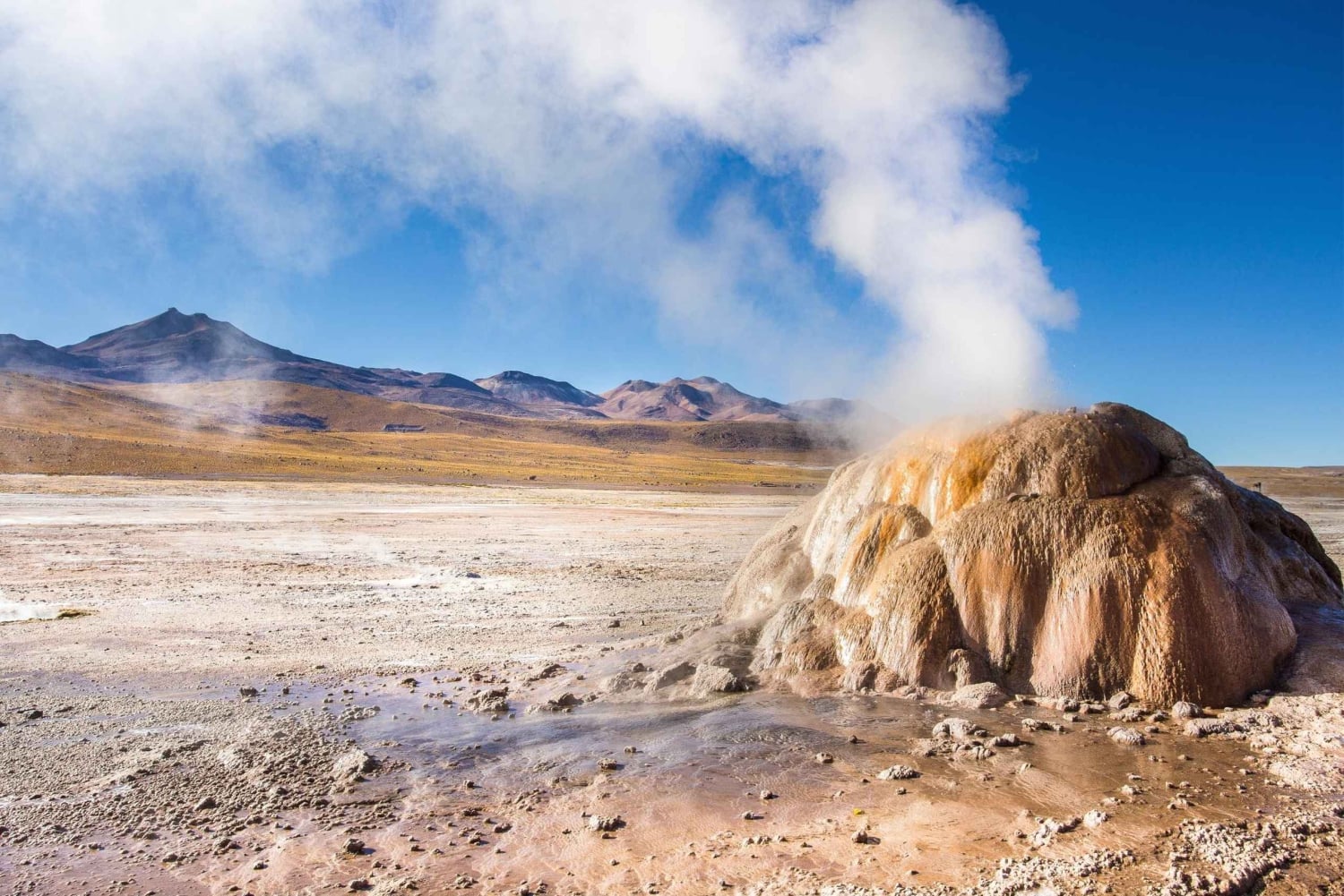 Гайсер де Татио - тур : Сан-Педро-де-Атакама - Чили