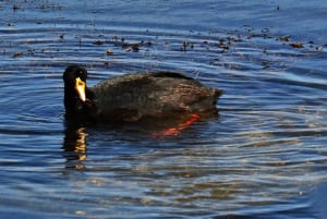Tatio Geysers Tour: San Pedro de Atacama