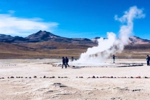Tour zu den Geysiren von Tatio