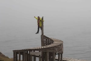 Tepuhueico Park: kust en bos