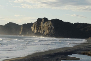 Tepuhueico Park: kust en bos