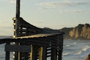 Tepuhueico Park: kust en bos