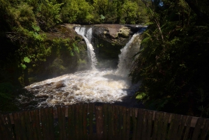 Parque Tepuhueico: Introdúcete en Chiloé.