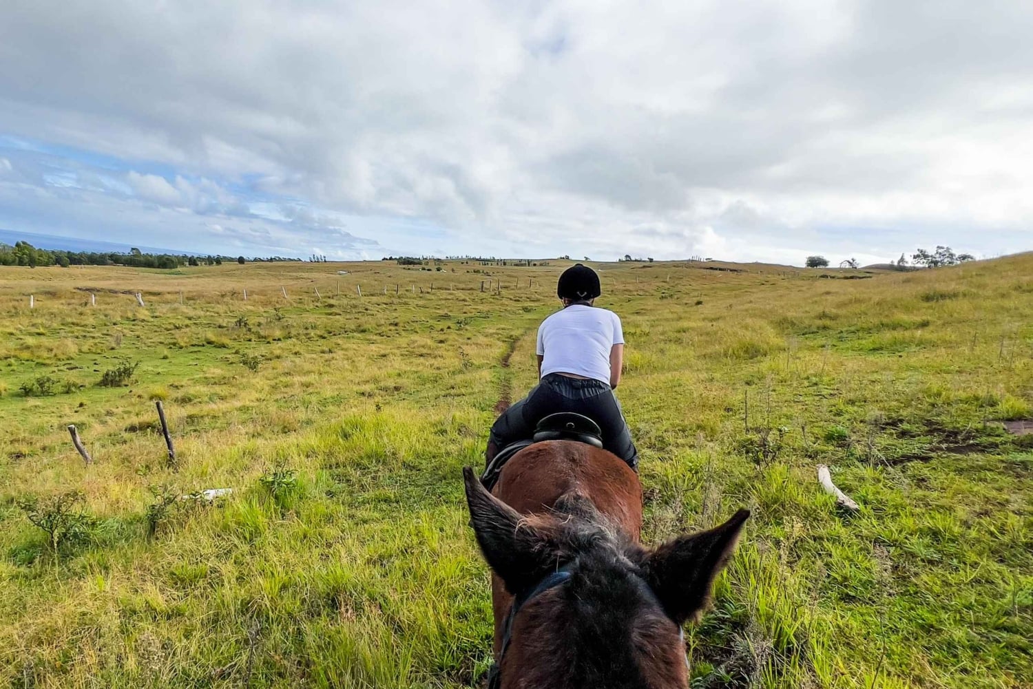 Terevaka Pferdeexkursion: Der höchste Punkt und 360° Aussicht.