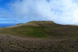 Terevaka Pferdeexkursion: Der höchste Punkt und 360° Aussicht.
