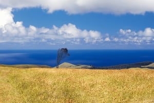 Terevaka Pferdeexkursion: Der höchste Punkt und 360° Aussicht.