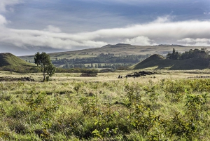 Easter Island: Terevaka Summit Hike Private Half-Day Trip