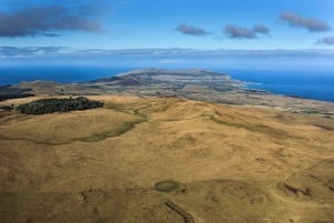 Easter Island: Terevaka Summit Hike Private Half-Day Trip