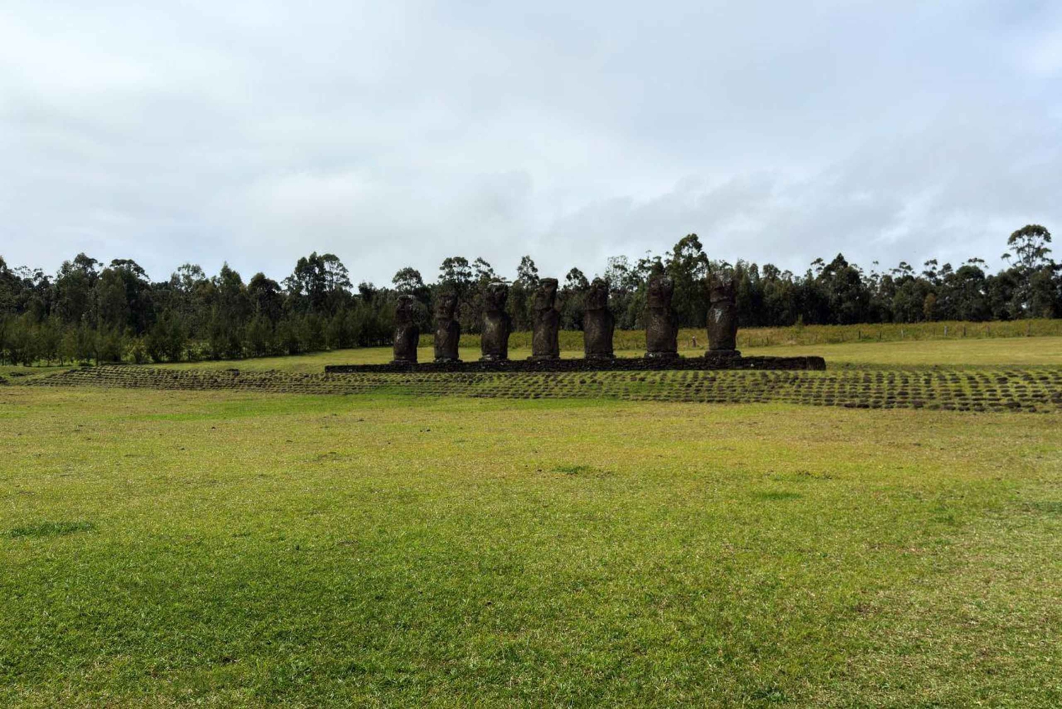 Visite d'une demi-journée : les 7 gardiens du Pacifique, itinéraire Ahu Akivi