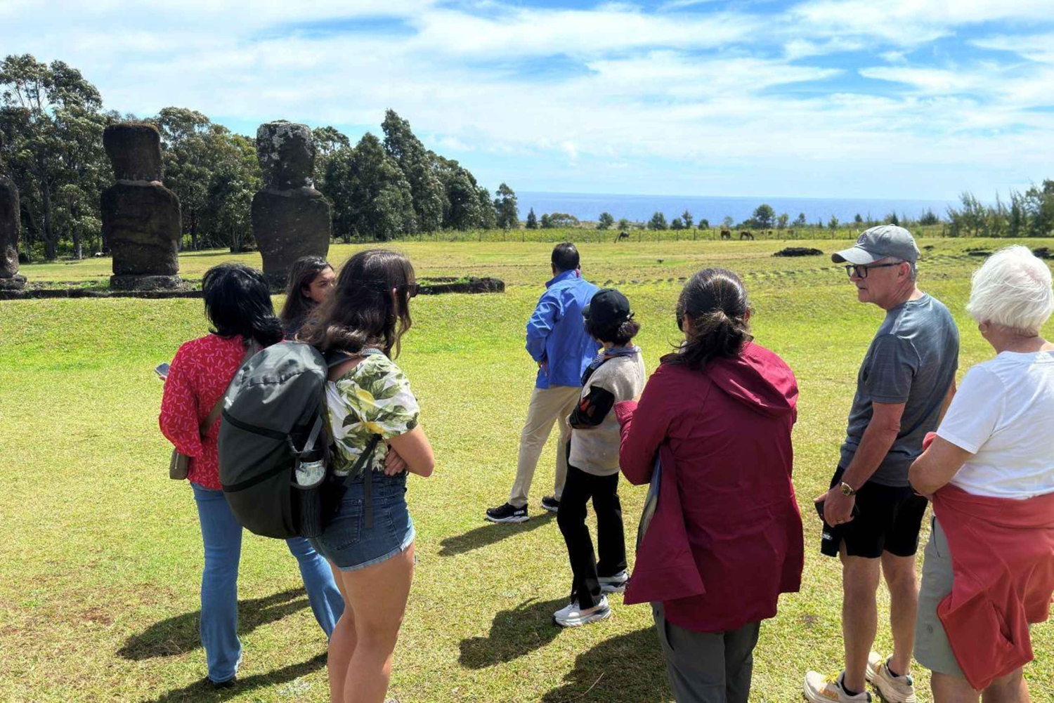 Visite d'une demi-journée : les 7 gardiens du Pacifique, itinéraire Ahu Akivi