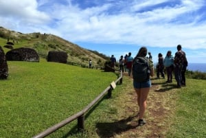 Los 7 guardianes del Pacífico: ruta de medio día por Ahu Akivi