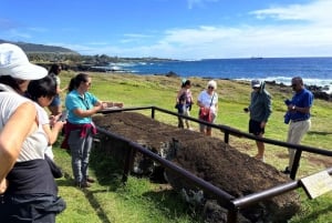 Los 7 guardianes del Pacífico: ruta de medio día por Ahu Akivi