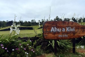 De 7 bewakers van de Stille Oceaan: Ahu Akivi-route (halve dag)