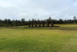 De 7 bewakers van de Stille Oceaan: Ahu Akivi-route (halve dag)