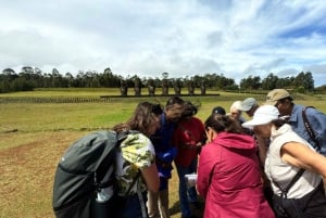 De 7 bewakers van de Stille Oceaan: Ahu Akivi-route (halve dag)