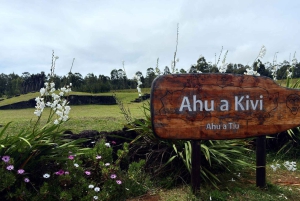 Visite d'une demi-journée : les 7 gardiens du Pacifique, itinéraire Ahu Akivi