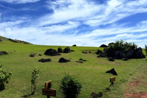 Visite d'une demi-journée : les 7 gardiens du Pacifique, itinéraire Ahu Akivi