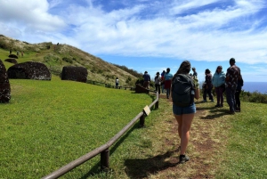 Visite d'une demi-journée : les 7 gardiens du Pacifique, itinéraire Ahu Akivi