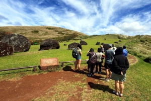 Visite d'une demi-journée : les 7 gardiens du Pacifique, itinéraire Ahu Akivi
