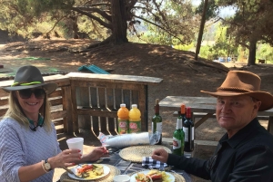 Privat chilensk grillkursus i Andesbjergene med frokost