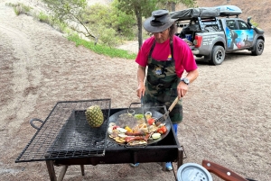 Privat chilensk grillkursus i Andesbjergene med frokost